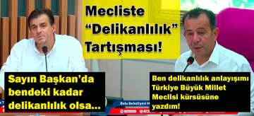 Mecliste "Delikanlılık" tartışması