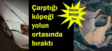 Çarptığı köpeği yolun ortasında bıraktı