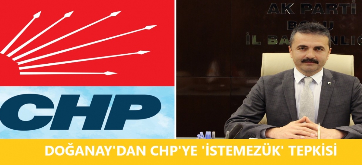 Doğanay'dan CHP'ye 'istemezük' tepkisi