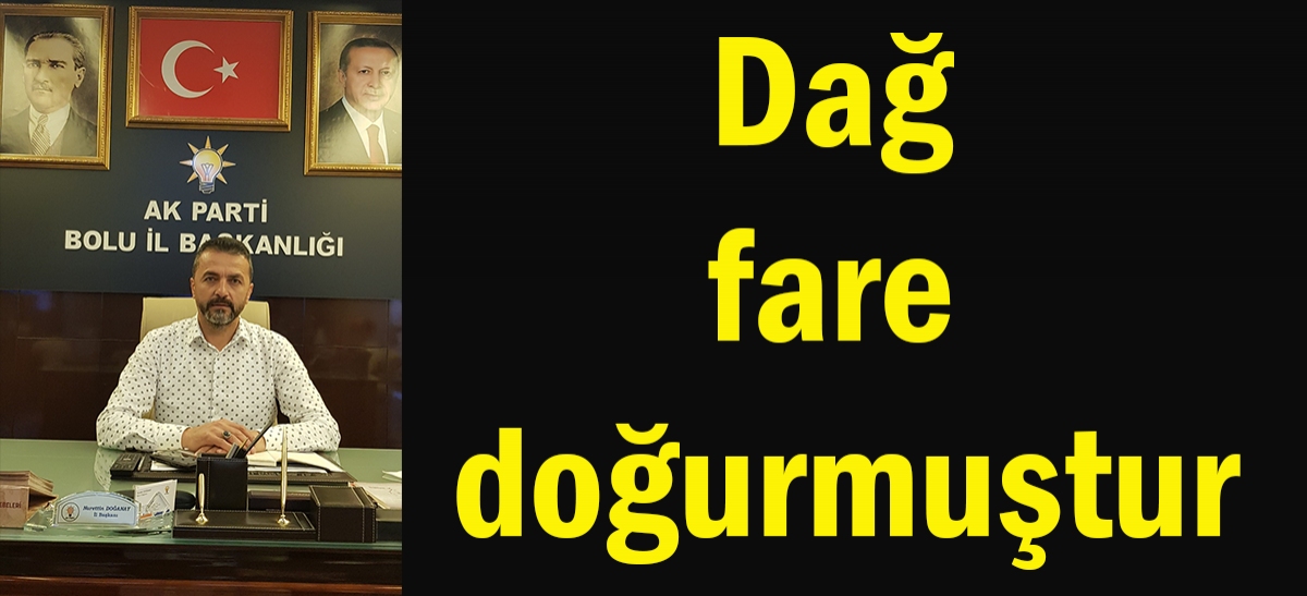Dağ fare doğurmuştur