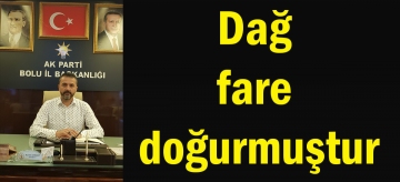 Dağ fare doğurmuştur