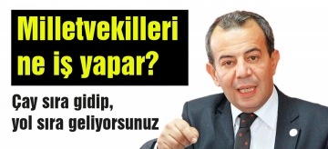 Milletvekilleri ne iş yapar?
