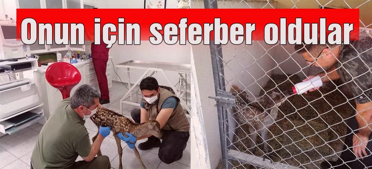 Onun için seferber oldular