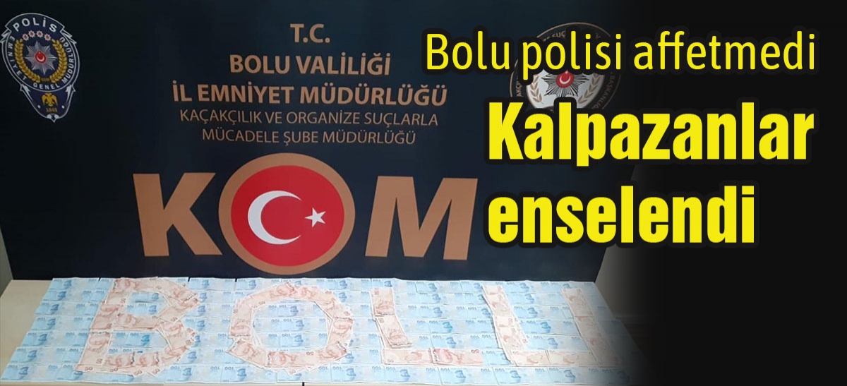 Kalpazanlar enselendi