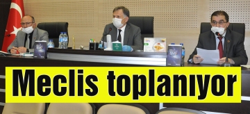 İL GENEL MECLİSİ TOPLANIYOR