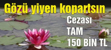 Gözü yiyen kopartsın