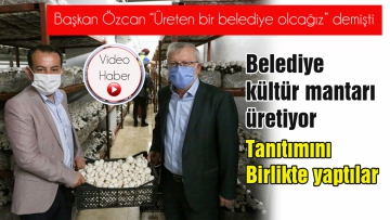 Belediye kültür mantarı üretiyor