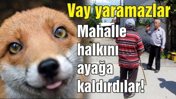 Mahalle halkını ayağa kaldırdılar