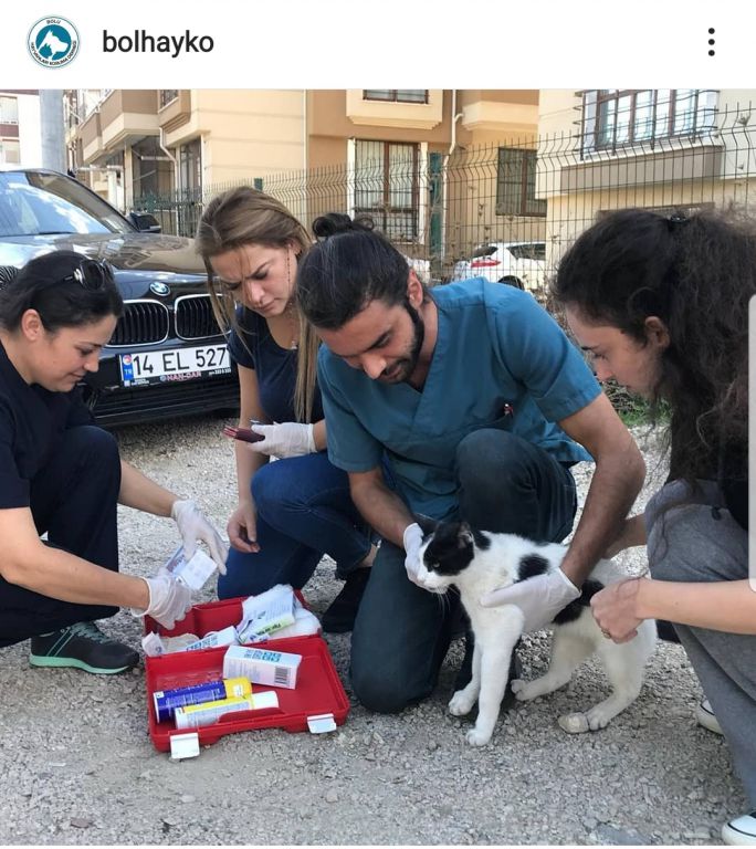 "BOLHAYKO sokaktaki canların yanında olmaya devam edecektir"