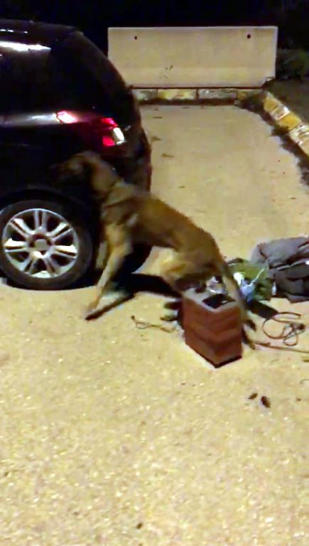 Hapları hoparlör içine saklamışlar