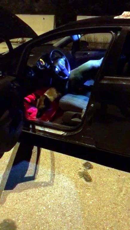 Hapları hoparlör içine saklamışlar