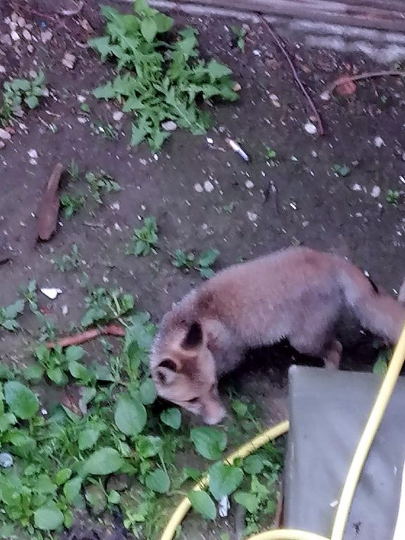 Mahalle halkını ayağa kaldırdılar