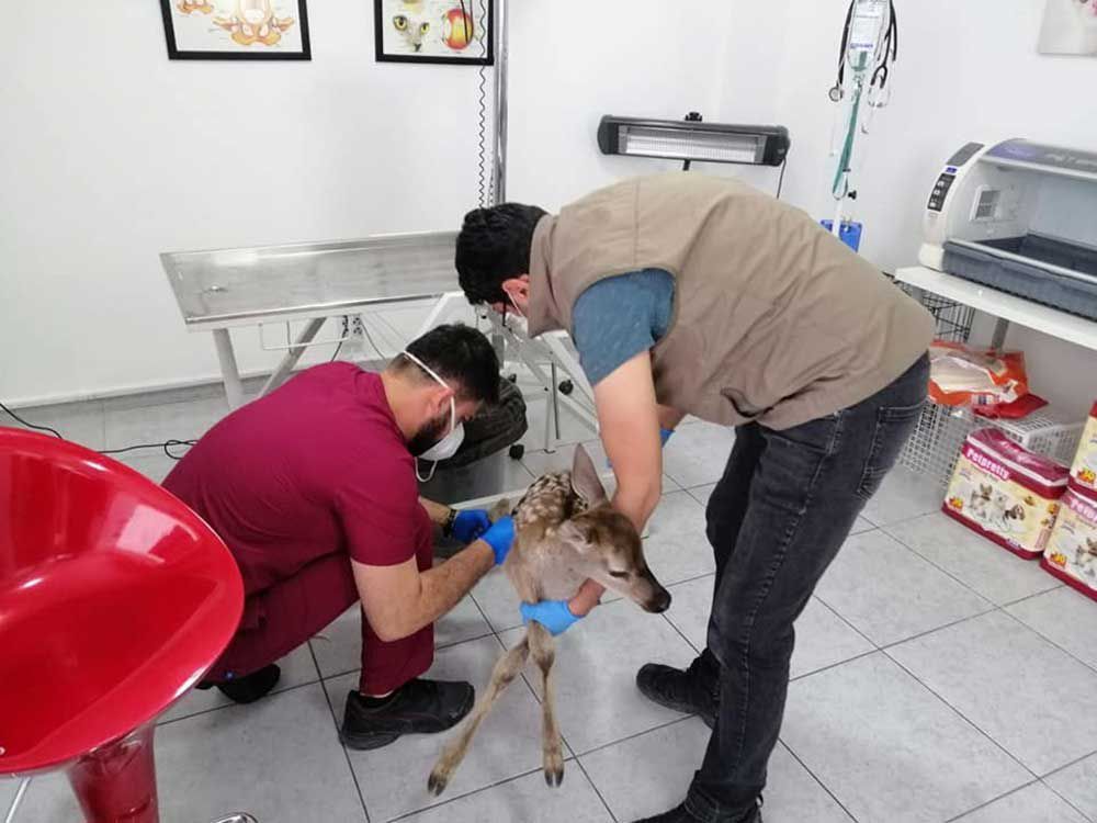 Onun için seferber oldular