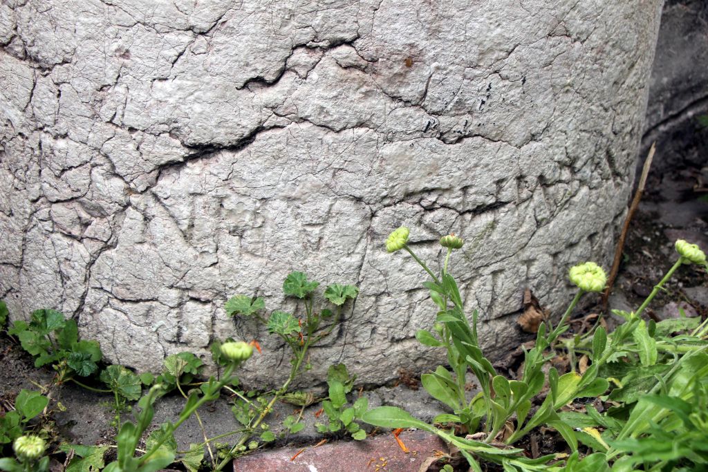 Tarih üzerine duvar!