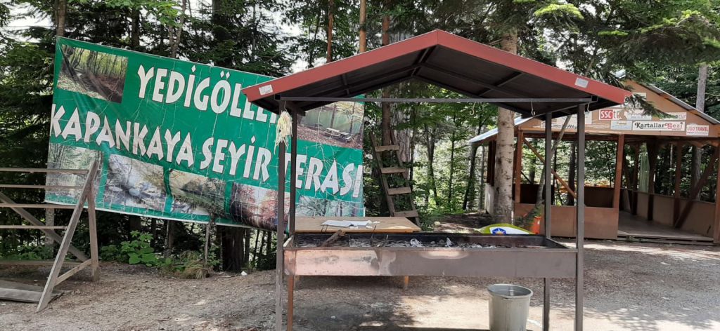 Yedigöller yolu içler acısı halde!
