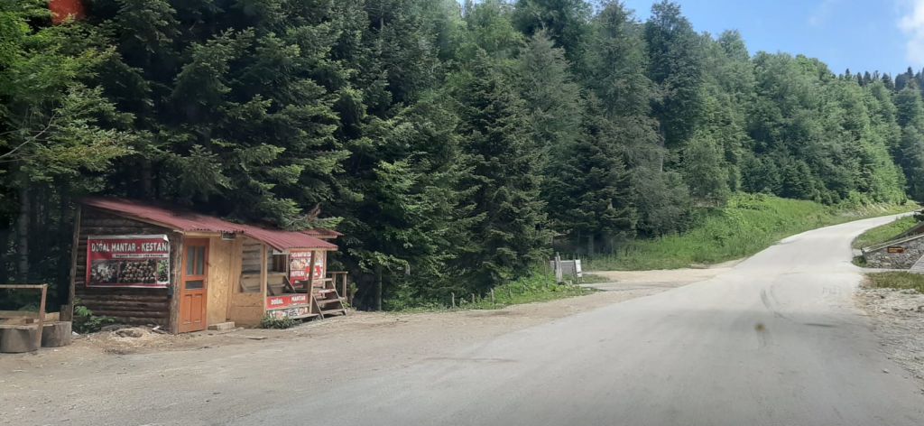 Yedigöller yolu içler acısı halde!