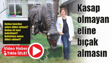 Kasap olmayan eline bıçak almasın