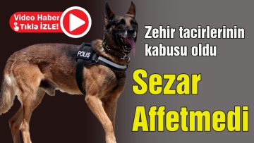 Zehir tacirlerinin kâbusu oldu
