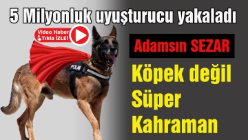 Köpek değil süper kahraman