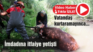 Dereye düşen ineği itfaiye kurtardı