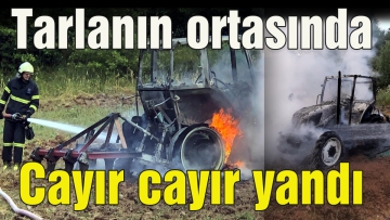 Tarlanın ortasında alev aldı