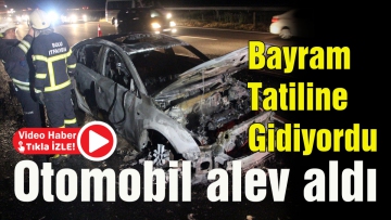 Yolun ortasında alev topuna döndü