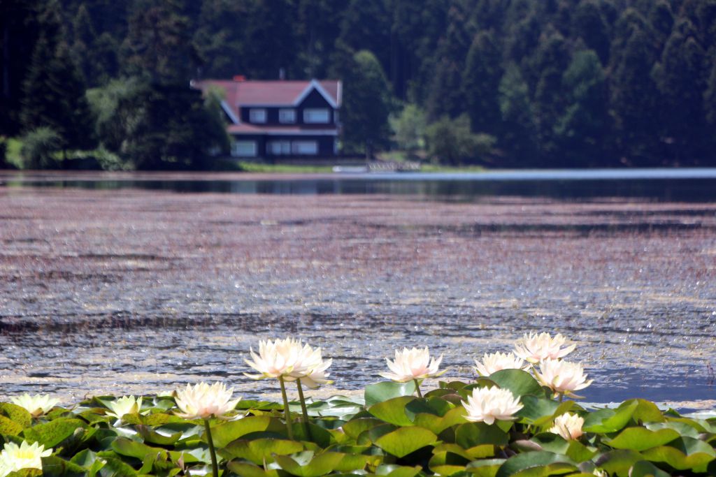 Gölcükte ziyaretçi manzarası pes dedirtti