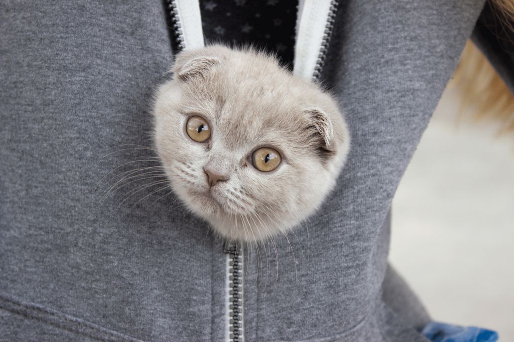 İşte insanlık farkı