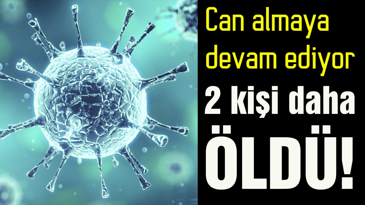 Korona virüs 2 can daha aldı