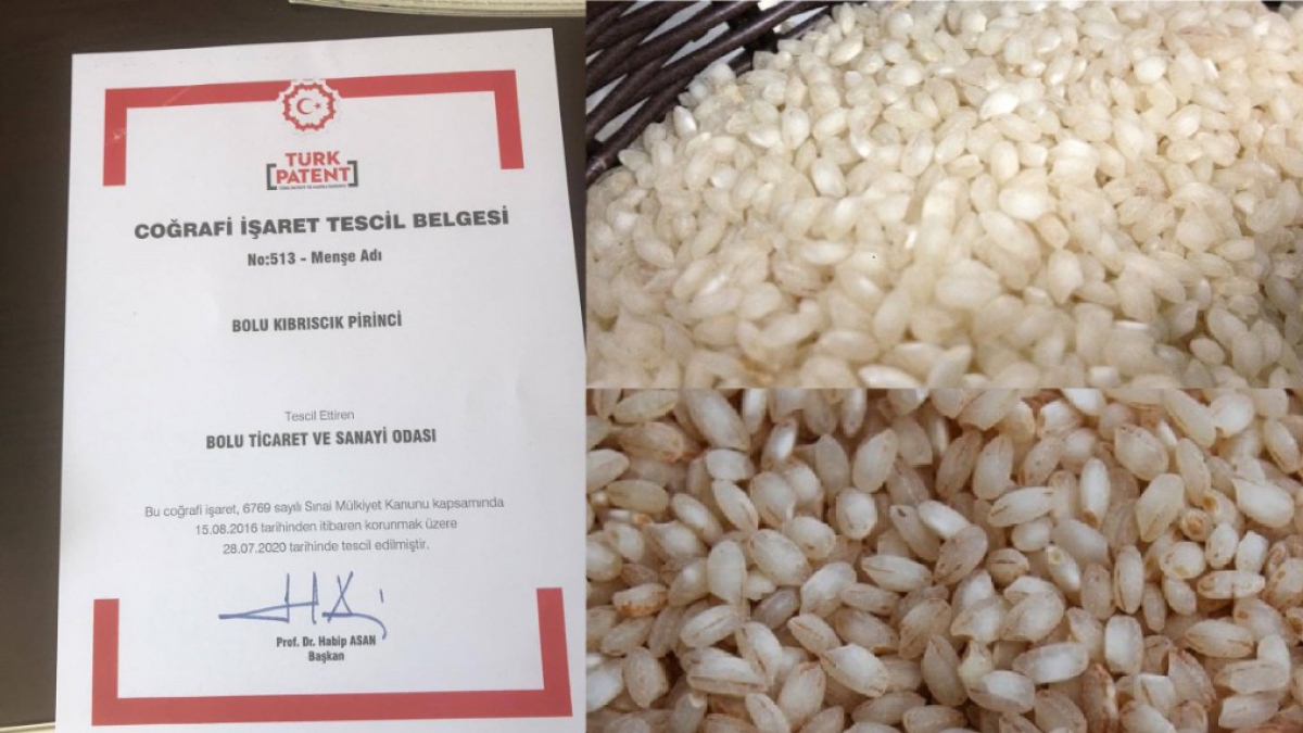 Kıbrıscık pirincimizin patentini aldık