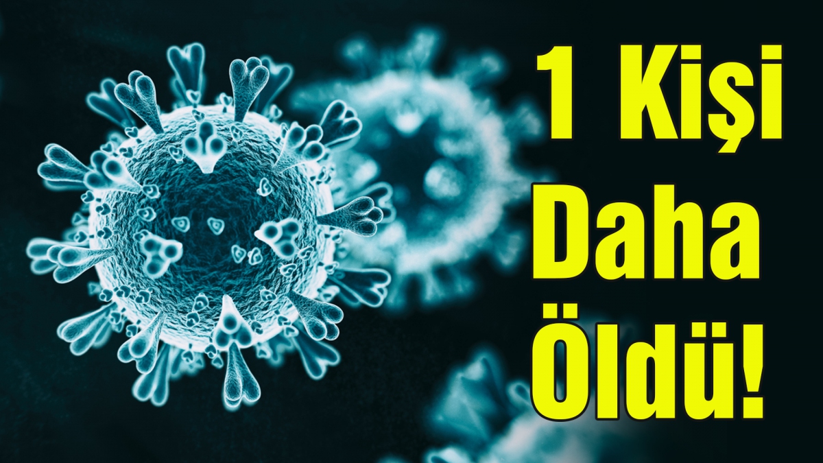 Korona bir can daha aldı