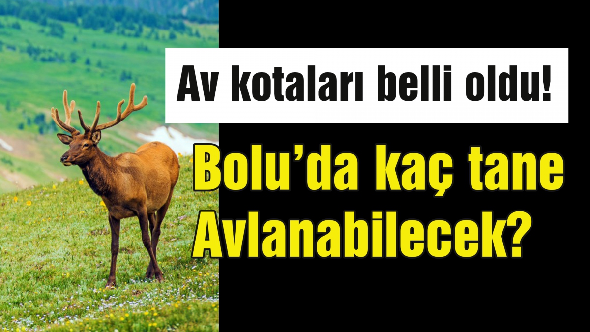 Bolu'da kaç geyik avlanabilecek?