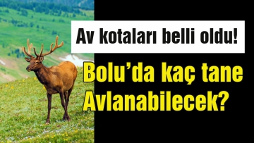 Bolu'da kaç geyik avlanabilecek?