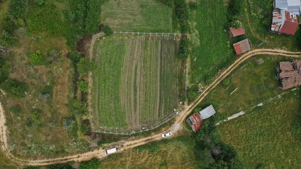 Gelecek bu tohumlarla yeşerecek