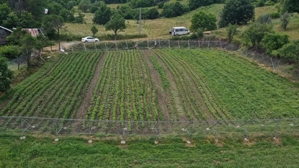 Gelecek bu tohumlarla yeşerecek
