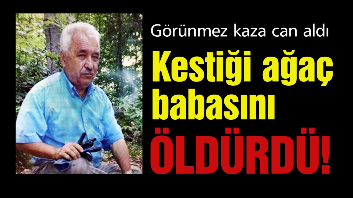 Kestiği ağaç babasını öldürdü
