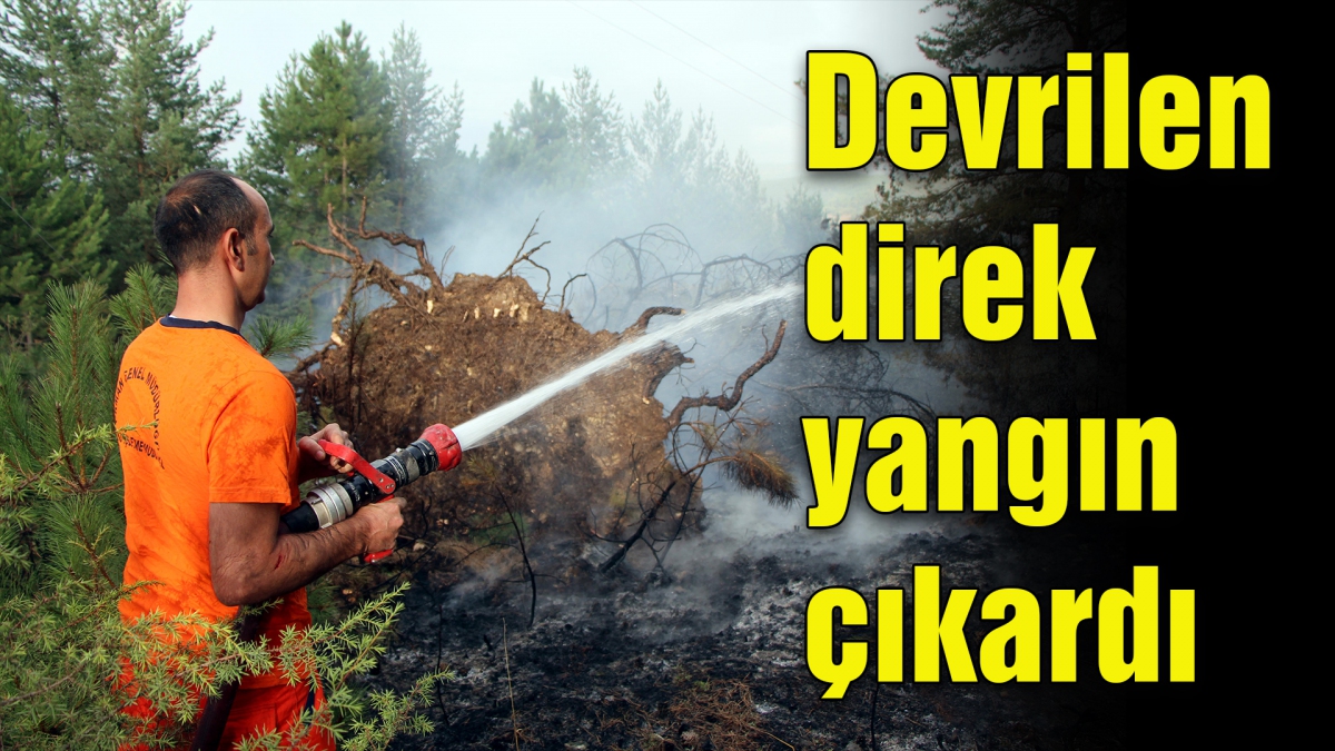 Devrilen direk yangın çıkardı