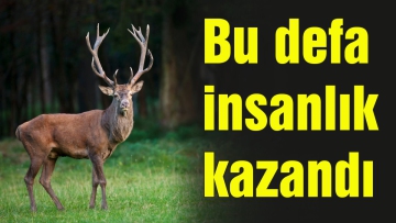 Bu defa insanlık kazandı