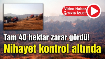 Tam 40 hektar zarar gördü