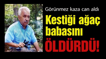 Kestiği ağaç babasını öldürdü