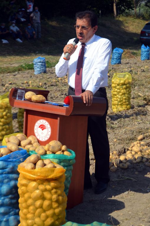 Bu patates, Bolu'nun patatesi