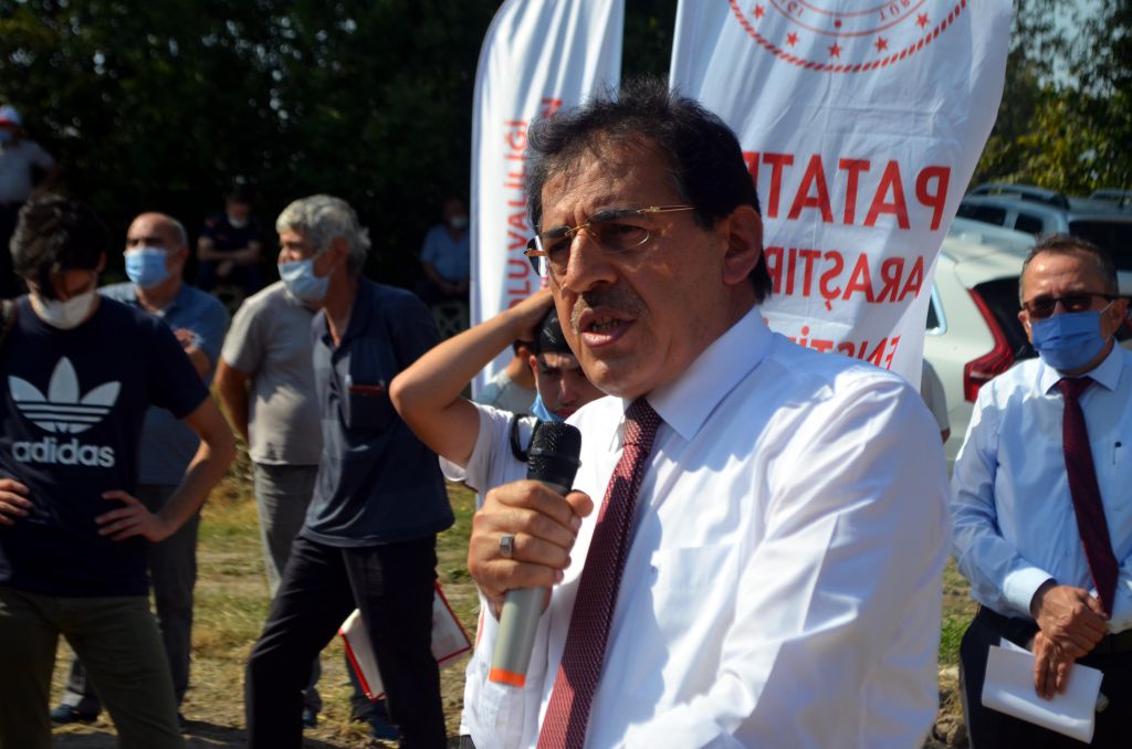 Bu patates, Bolu'nun patatesi