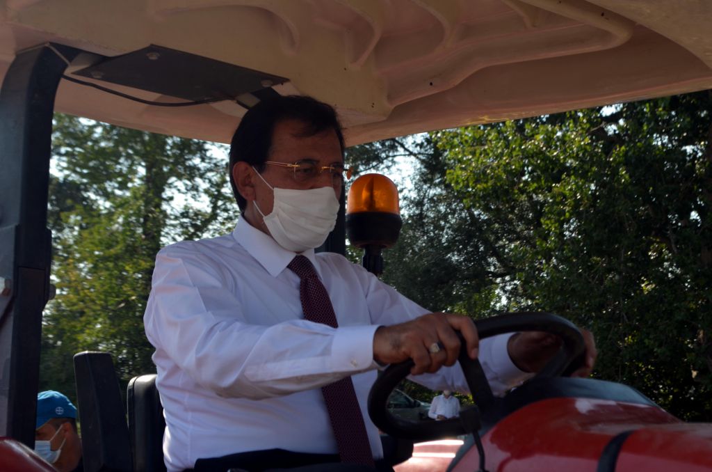 Bu patates, Bolu'nun patatesi