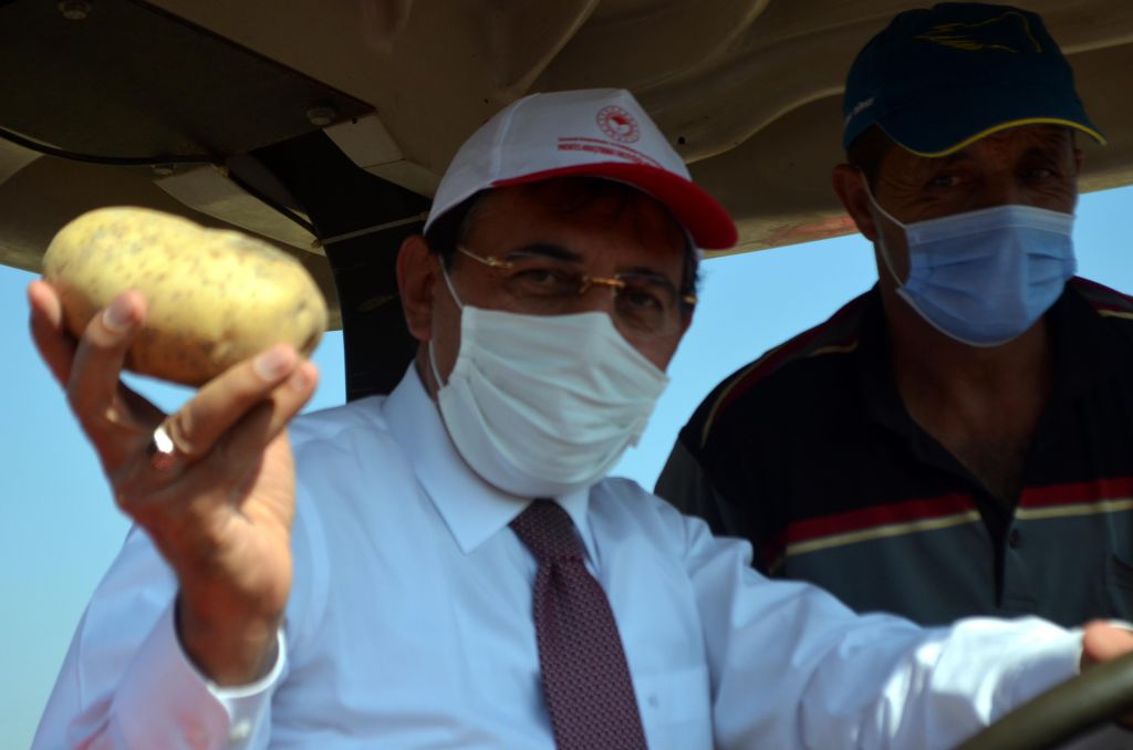 Bu patates, Bolu'nun patatesi