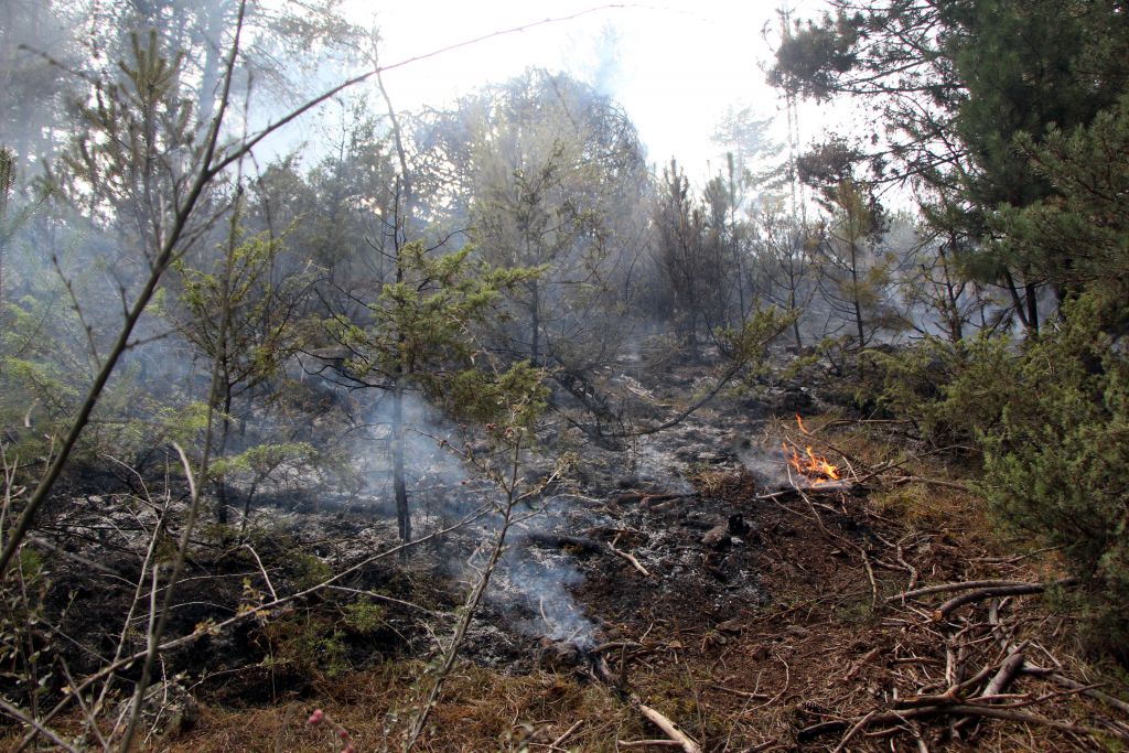 Devrilen direk yangın çıkardı