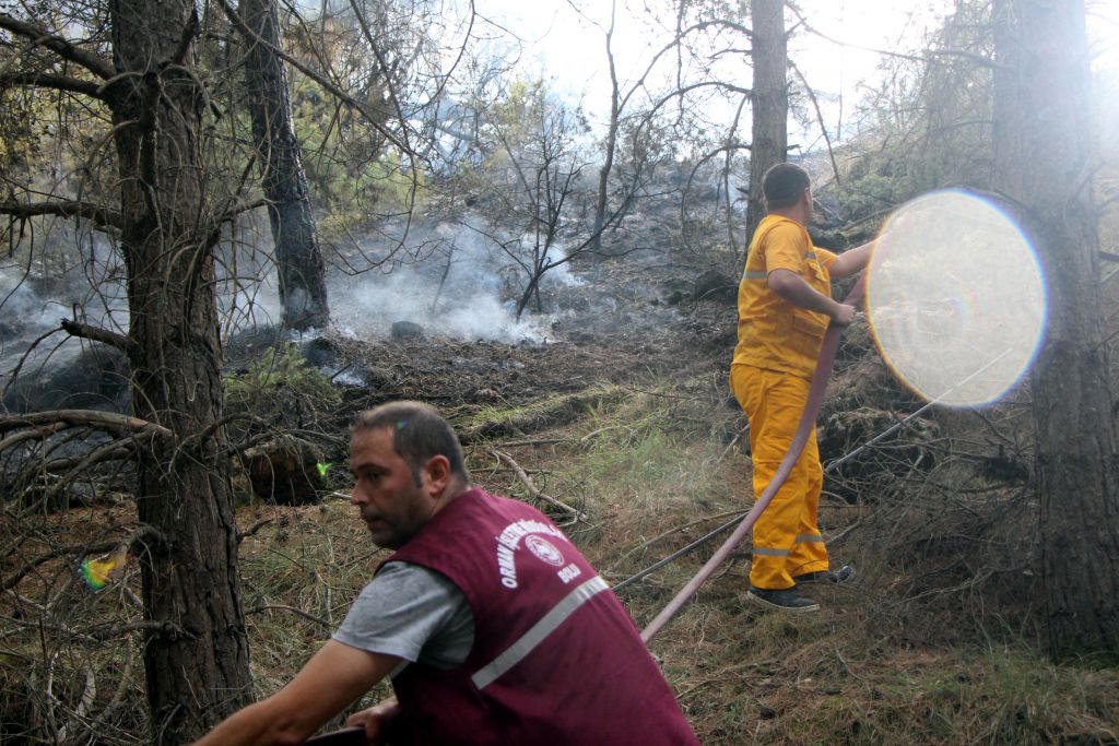 Devrilen direk yangın çıkardı