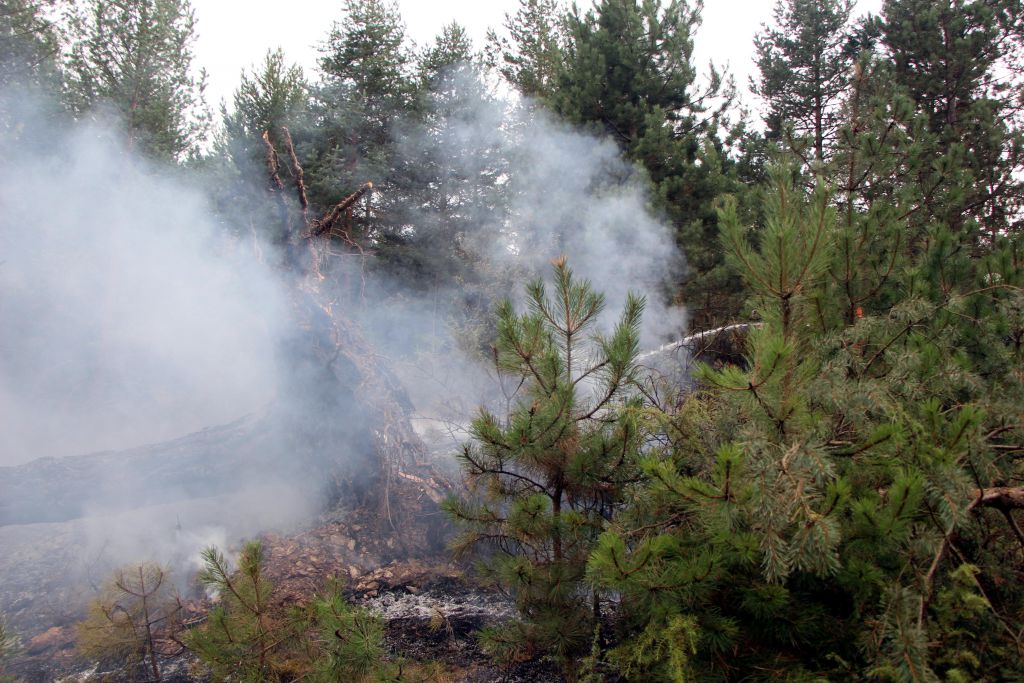 Devrilen direk yangın çıkardı