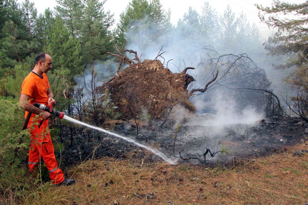 Devrilen direk yangın çıkardı
