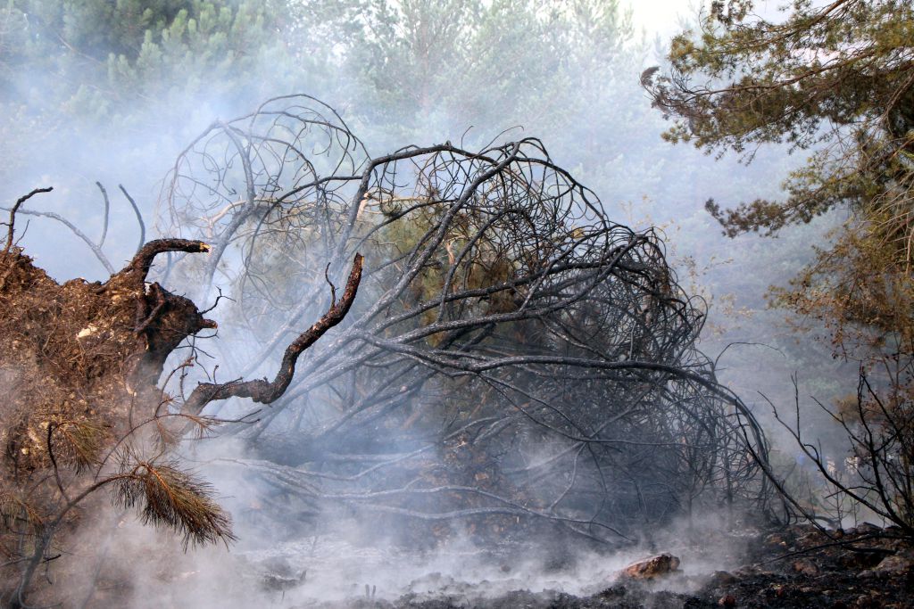 Devrilen direk yangın çıkardı