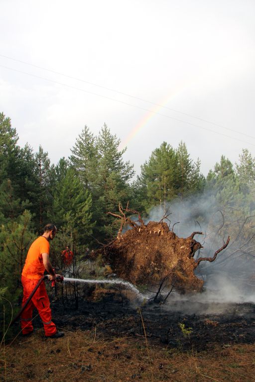 Devrilen direk yangın çıkardı